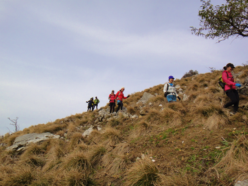 Trail Session in 霊仙山_b0220886_16251035.jpg