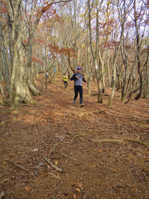 Trail Session in 霊仙山_b0220886_16255077.jpg