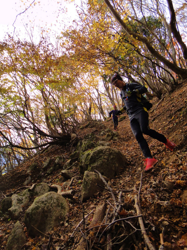 Trail Session in 霊仙山_b0220886_16284656.jpg