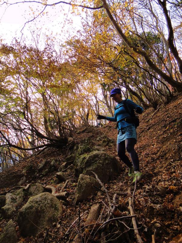 Trail Session in 霊仙山_b0220886_16285916.jpg
