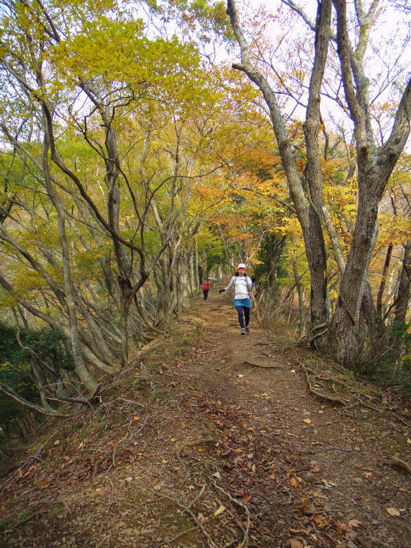 Trail Session in 霊仙山_b0220886_16292451.jpg