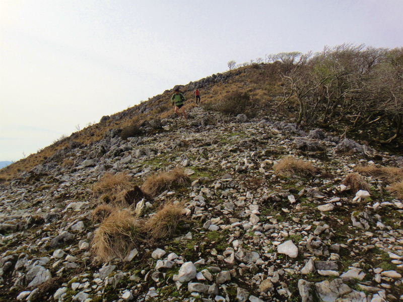 Trail Session in 霊仙山_b0220886_164366.jpg