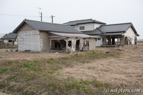 あの日から8ヶ月半、2011年11月28日に南相馬市で見たもの　その２_a0234688_190944.jpg