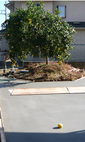 c0042989_14243284.jpg