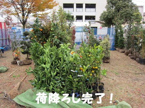 ビッグマック 200円_b0200291_1954215.jpg