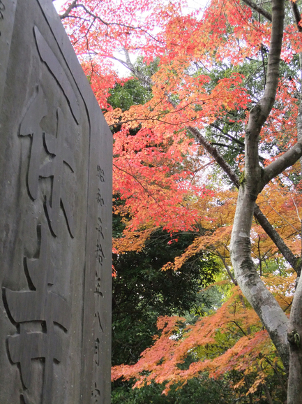 一休寺の紅葉_f0032891_715158.jpg