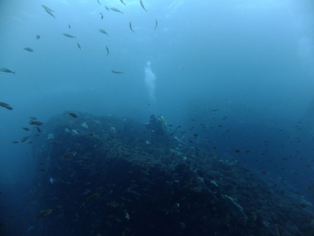 水温上がってきれいな雲見【2011年12月2日】_f0053895_17264094.jpg