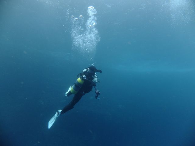 水温上がってきれいな雲見【2011年12月2日】_f0053895_172704.jpg