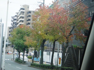 e0143298_1864023.jpg