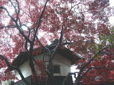 c0228804_20102610.jpg