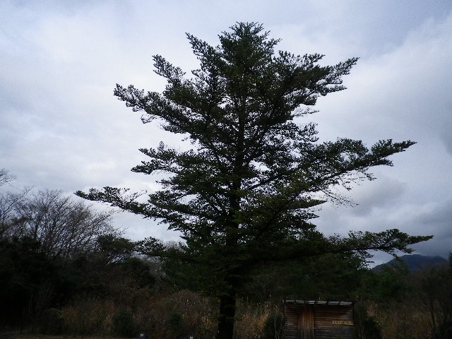 冬用に!_e0179508_14352172.jpg