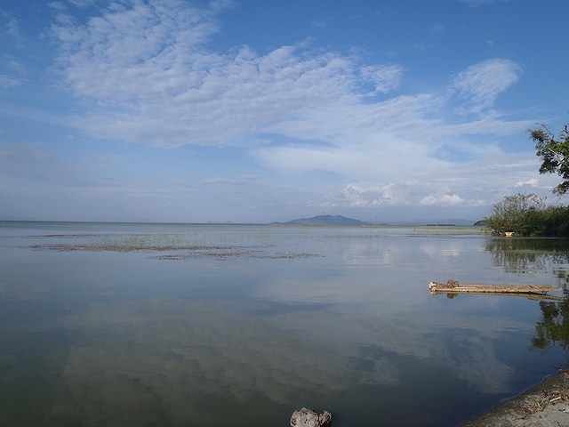 a0223909_2359100.jpg