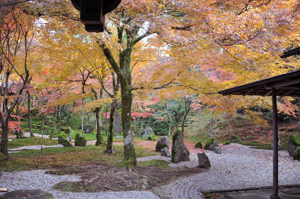 太宰府の紅葉 2011_a0042310_20212544.jpg