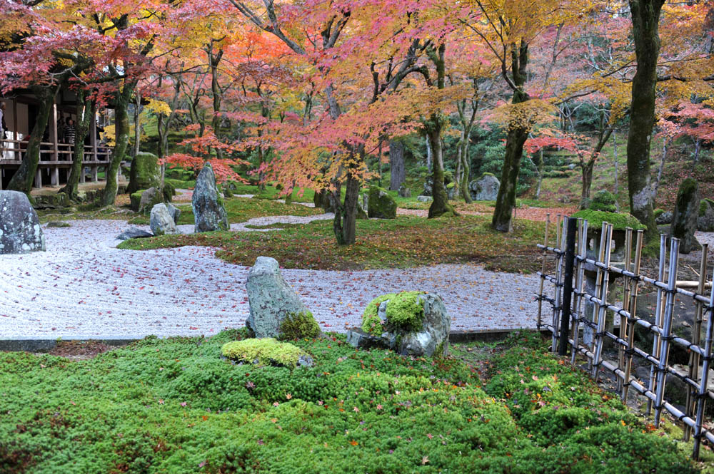 太宰府の紅葉 2011_a0042310_20232810.jpg