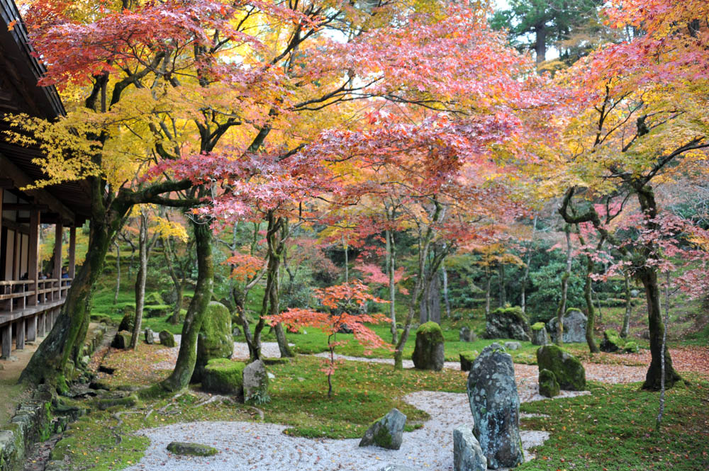 太宰府の紅葉 2011_a0042310_20234448.jpg
