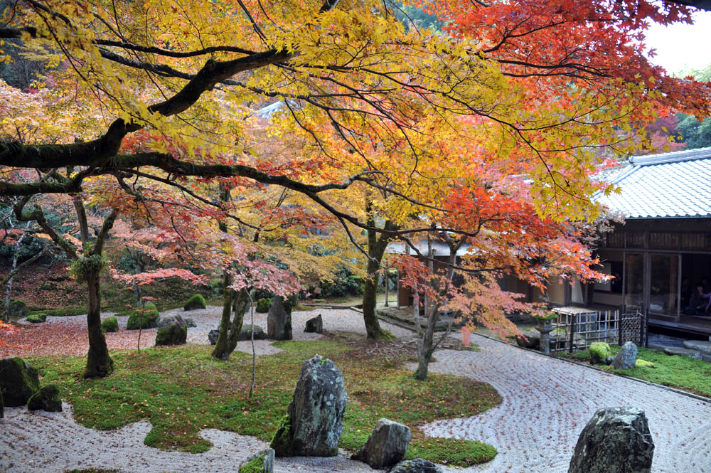 太宰府の紅葉 2011_a0042310_20235994.jpg