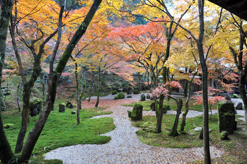 太宰府の紅葉 2011_a0042310_20242191.jpg