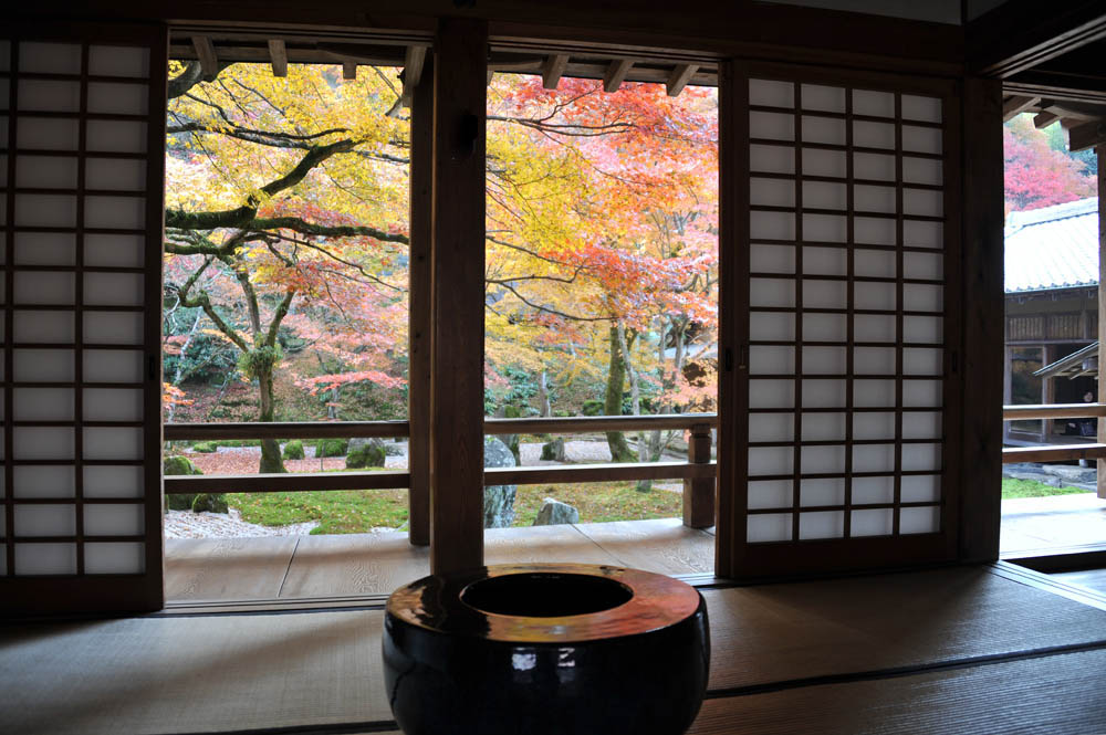 太宰府の紅葉 2011_a0042310_20273924.jpg