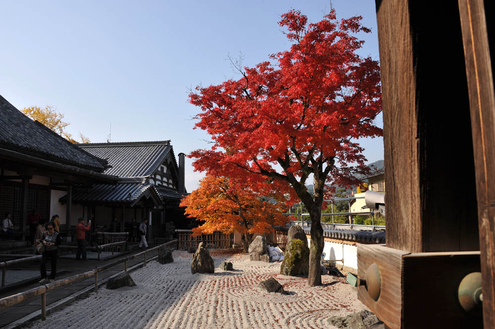 太宰府の紅葉 2011_a0042310_2029545.jpg