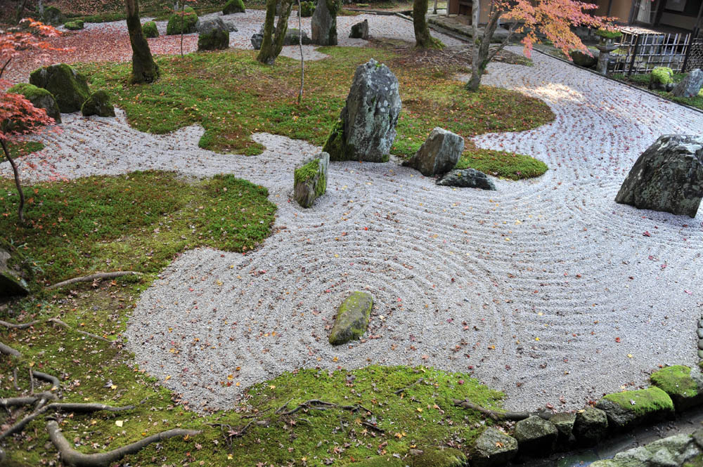 太宰府の紅葉 2011_a0042310_2029872.jpg