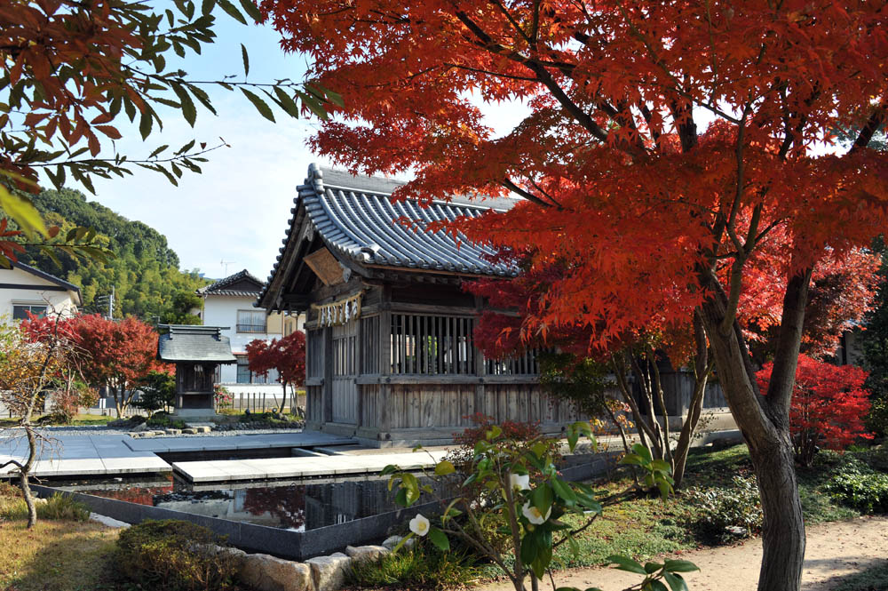 太宰府の紅葉 2011_a0042310_20301348.jpg