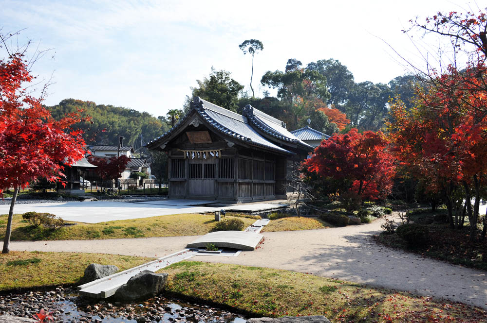 太宰府の紅葉 2011_a0042310_20303095.jpg