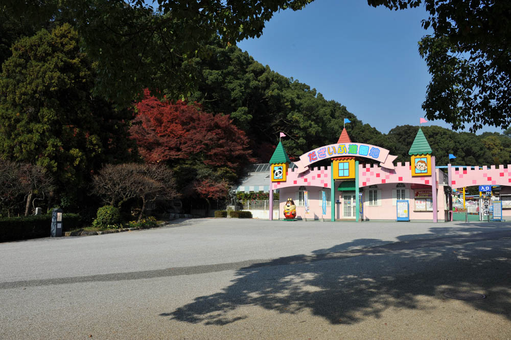 太宰府の紅葉 2011_a0042310_20323353.jpg