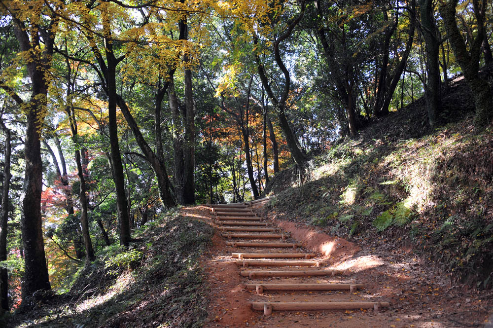 太宰府の紅葉 2011_a0042310_20352687.jpg