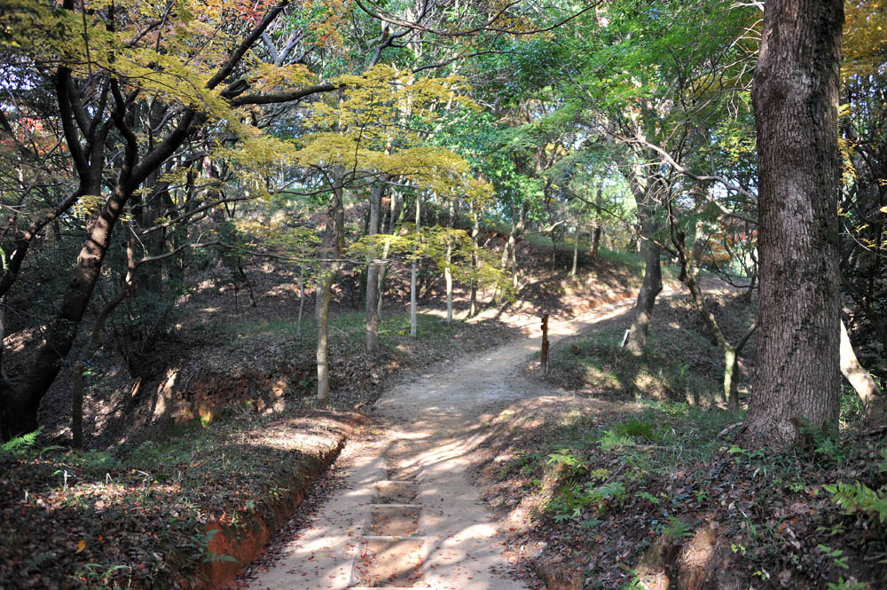 太宰府の紅葉 2011_a0042310_20365218.jpg