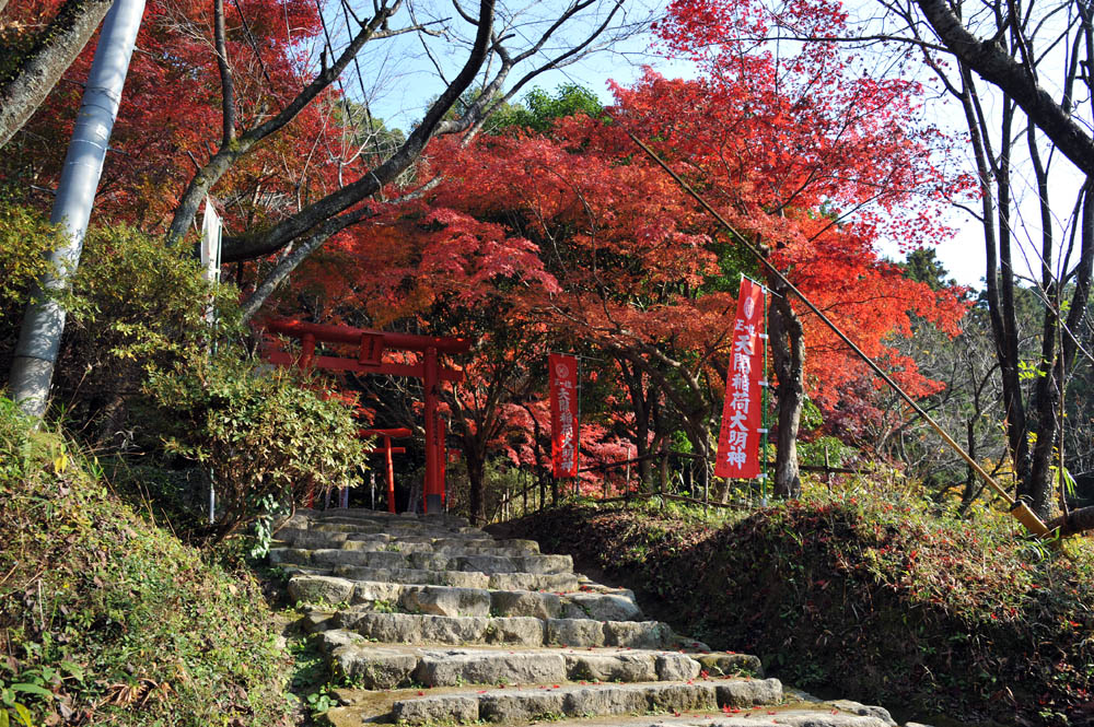 太宰府の紅葉 2011_a0042310_20414055.jpg