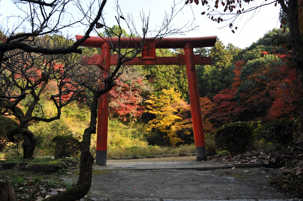 太宰府の紅葉 2011_a0042310_20422144.jpg