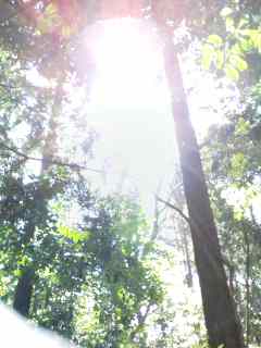 c0144511_16533852.jpg
