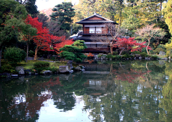 京都御苑 紅葉の盛り①_e0048413_20372940.jpg