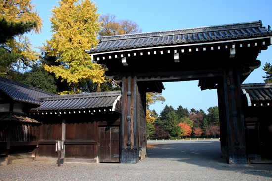 京都御苑 紅葉の盛り①_e0048413_2037956.jpg