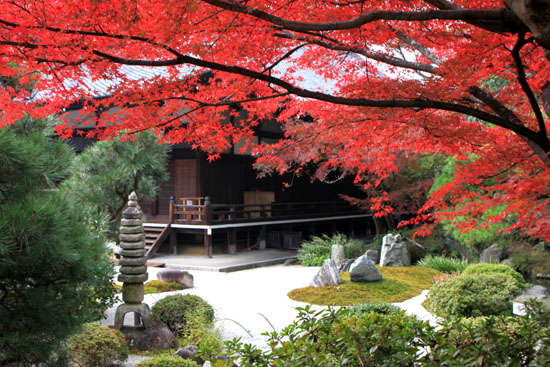 金戒光明寺と栄摂院　紅葉_e0048413_21215527.jpg