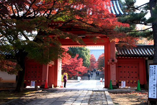 真如堂 紅葉の盛り_e0048413_22115791.jpg