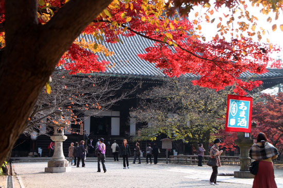真如堂 紅葉の盛り_e0048413_22123227.jpg