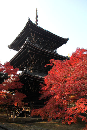 真如堂 紅葉の盛り_e0048413_22124224.jpg