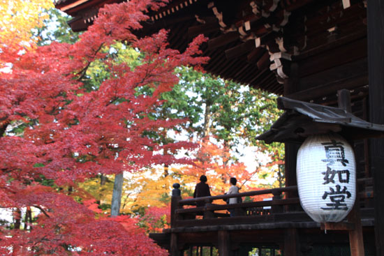 真如堂 紅葉の盛り_e0048413_22125217.jpg