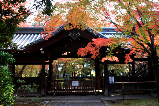 真如堂 紅葉の盛り_e0048413_22132624.jpg