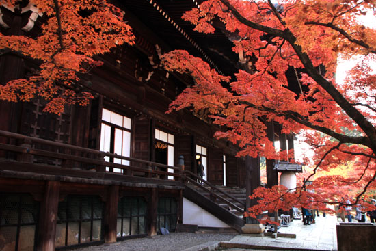 真如堂 紅葉の盛り_e0048413_2213367.jpg
