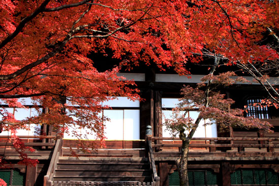 真如堂 紅葉の盛り_e0048413_2213496.jpg