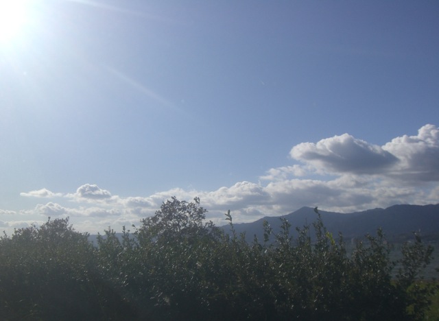 b0181015_0292072.jpg