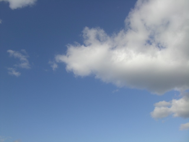 b0181015_029735.jpg