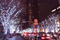 e0195115_1323125.jpg