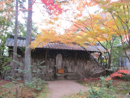 蓮華寺　2011秋_b0233225_2385958.jpg