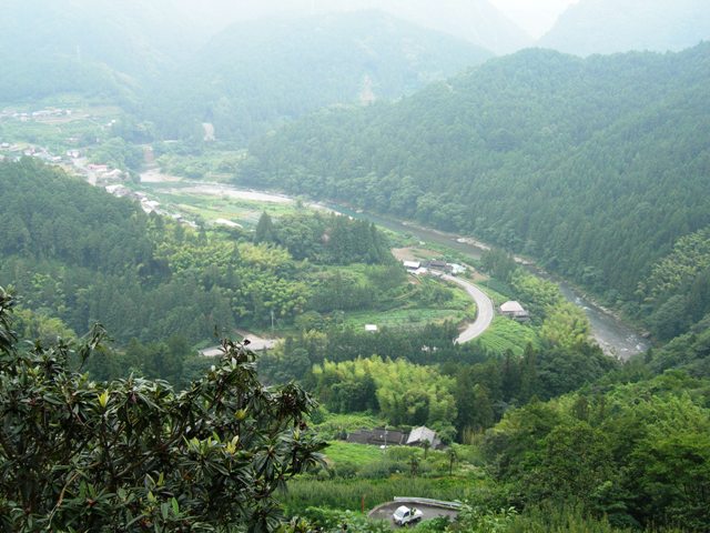 遍路ころがし・焼山寺登り下り_f0213825_10331722.jpg