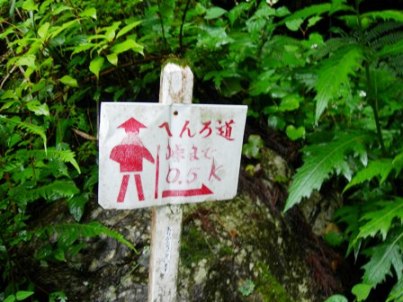 遍路ころがし・焼山寺登り下り_f0213825_1054928.jpg