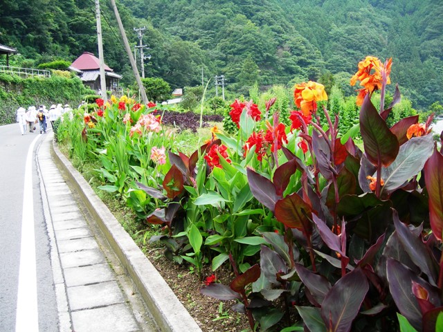 遍路ころがし・焼山寺登り下り_f0213825_12413363.jpg