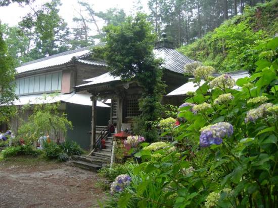 遍路ころがし・焼山寺登り下り_f0213825_1352917.jpg